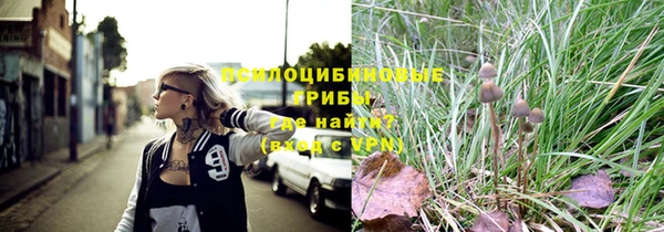 метадон Армянск